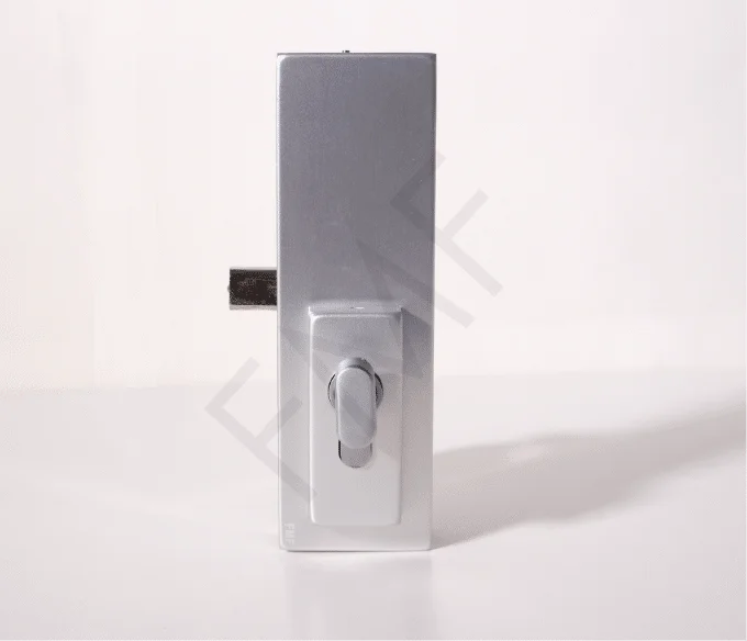 703 Series Glass Door Locks