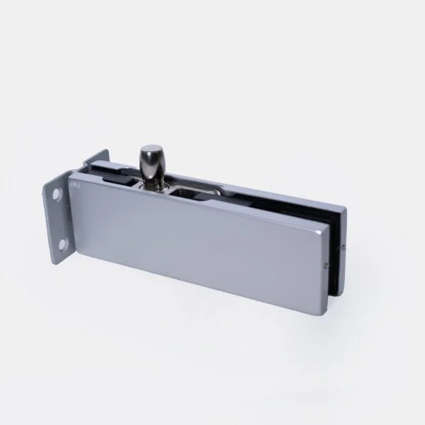 Wall Mounted Pivot Patch Fitting