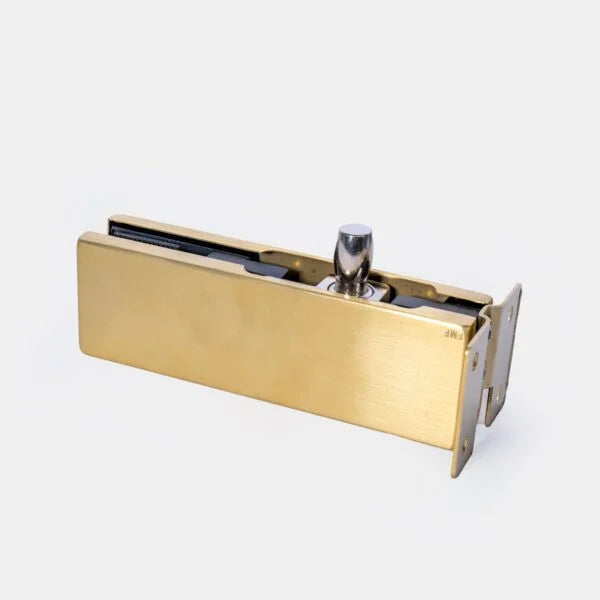 Wall Mounted Pivot Patch Fitting