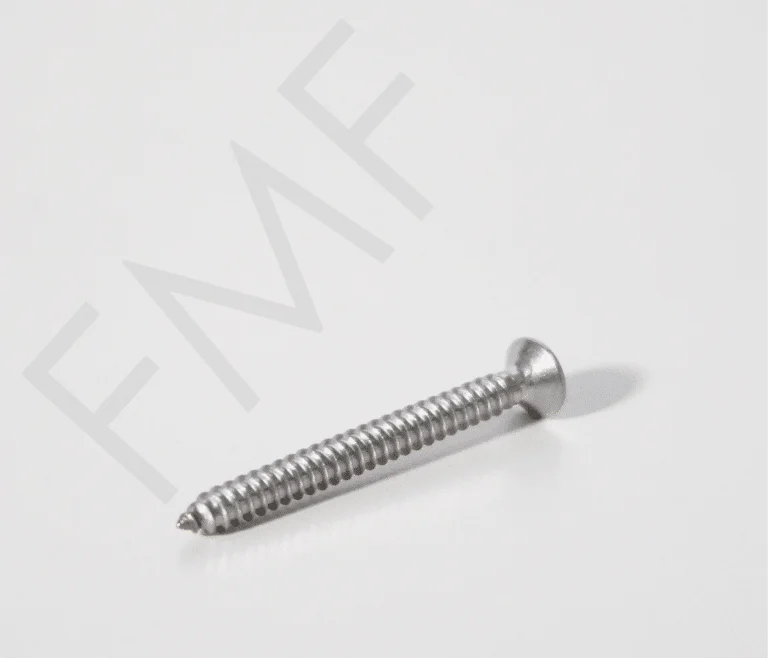 Shower Hinge Screw (Pack-10pcs)