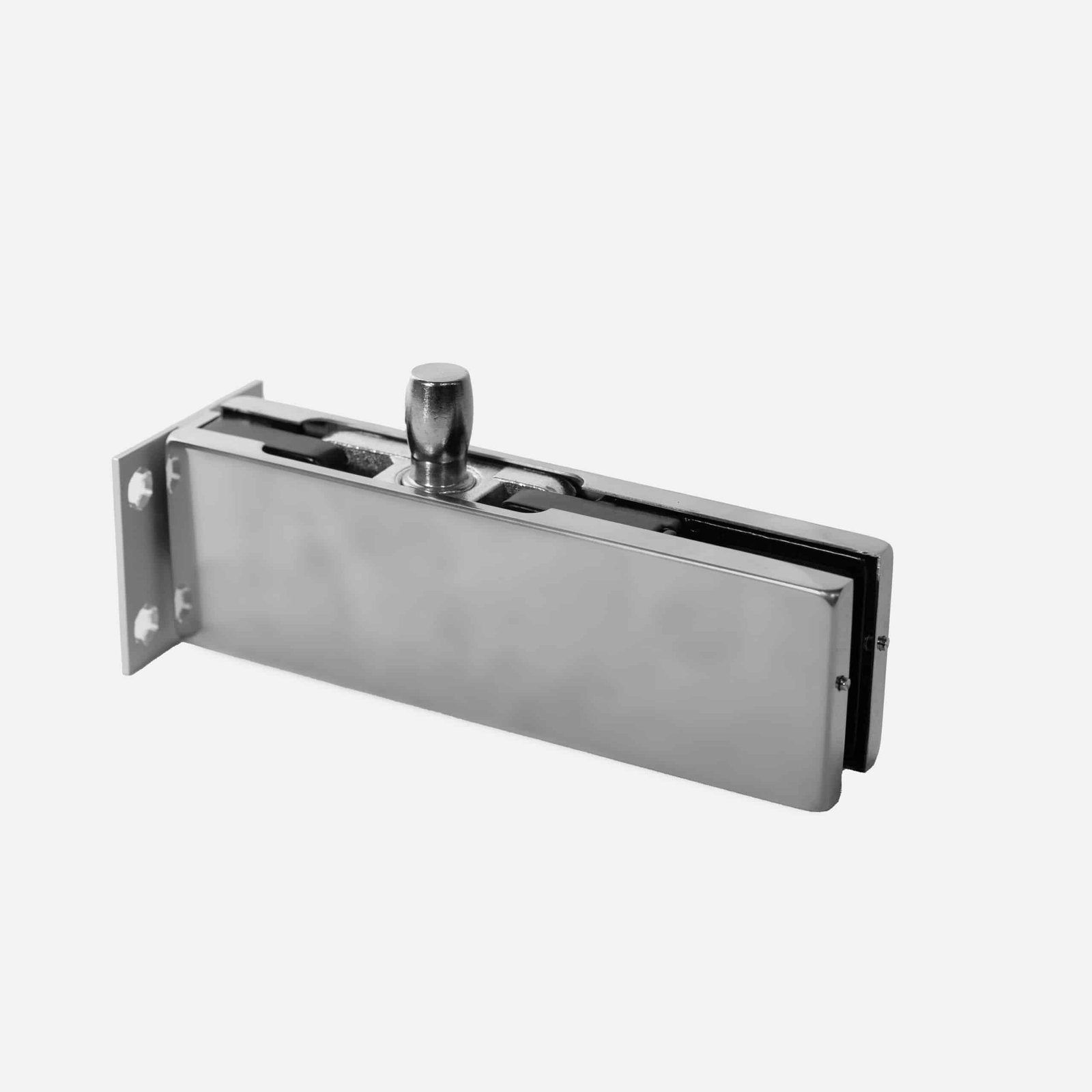 Wall Mounted Pivot Patch Fitting