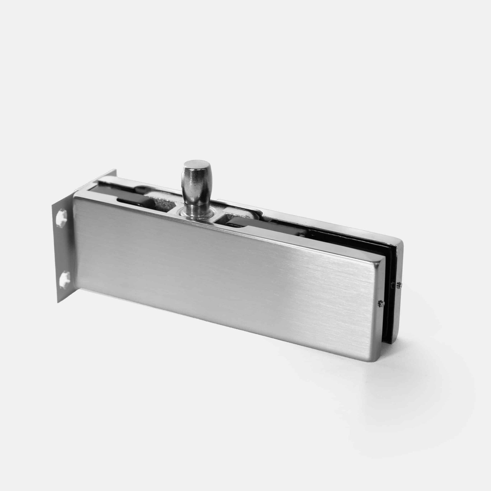 Wall Mounted Pivot Patch Fitting