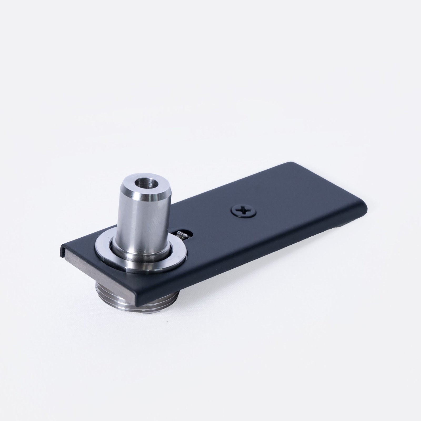 Bottom Door Free-Swinging Pivot for Floor Mount