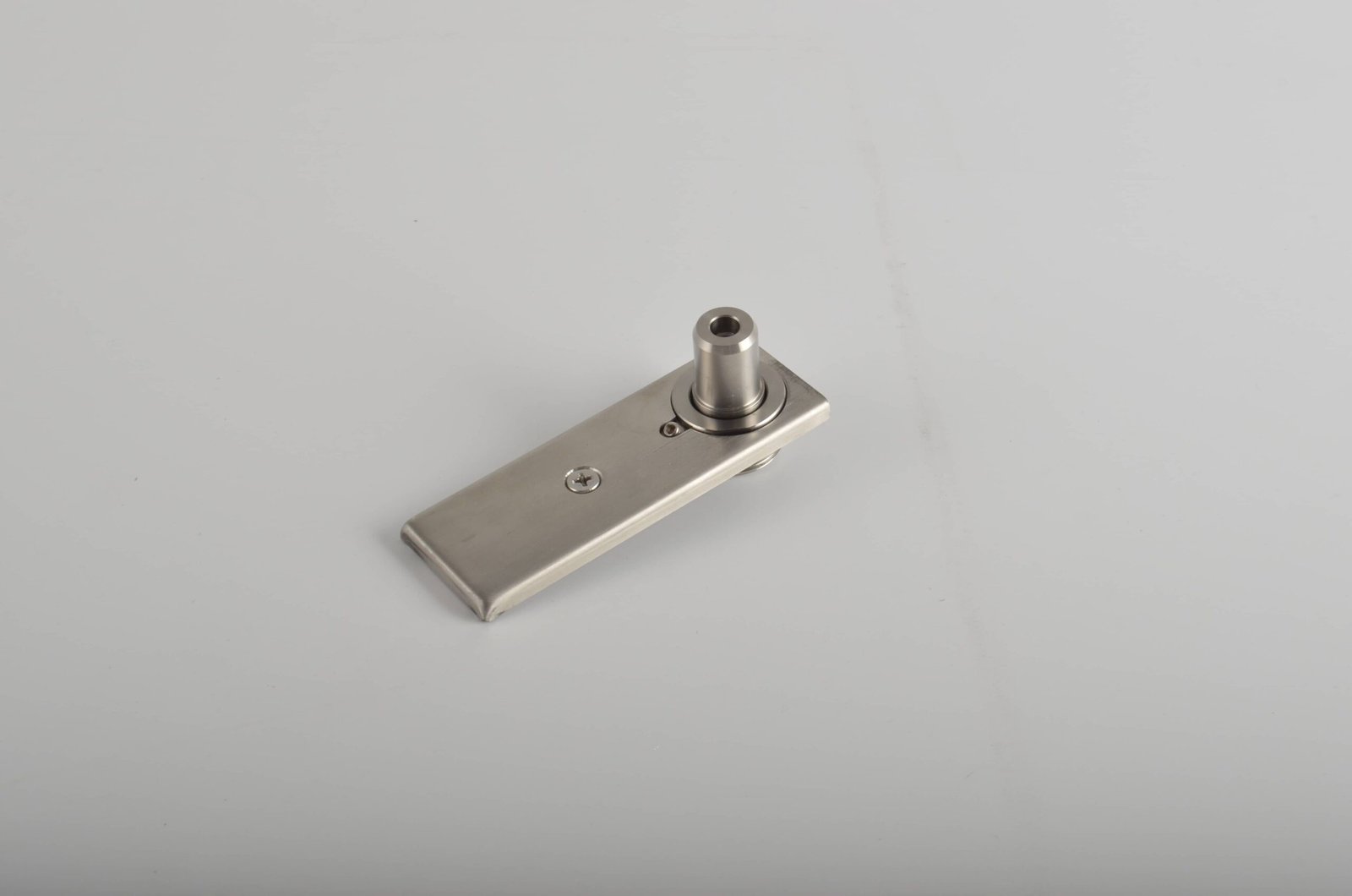 Bottom Door Free-Swinging Pivot for Floor Mount - Matte Black